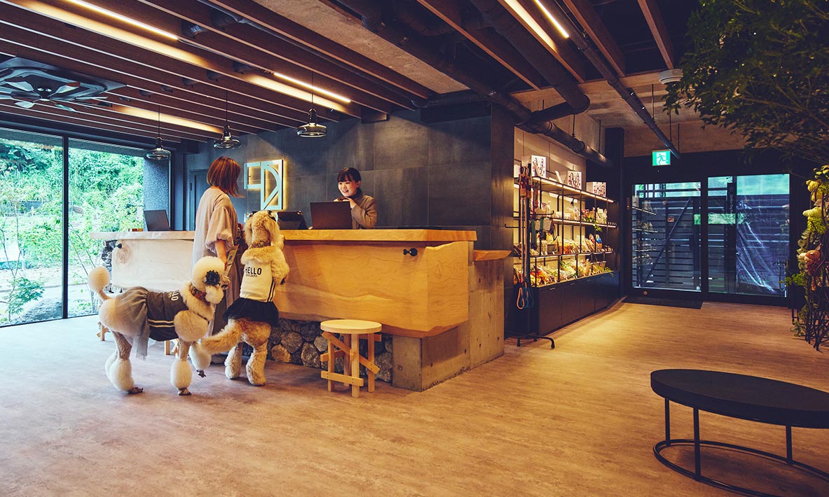 愛犬と泊まれる静岡市のホテル［1HOTEL］